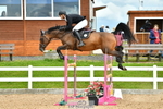 Friday 21st - Wessex Arena (1 Star, 5 and 6 yr old classes) portfolio