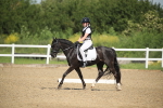 SBM_007903