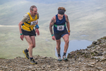 Grisedale HS-337