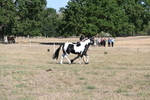 WJ6_7234