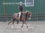 JAC_0780