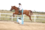 SBM_004361