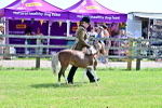 SBM_03635