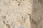 250613A-083648-00977