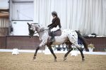 SBM_02454