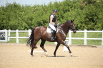 SBM_008874