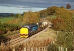 24.10.13 37402 20301 6M60 Seaton on Tees - Sellafield, Naworth Parks