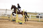 Class 9 - Senior British Novice - 90cm portfolio