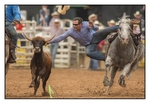Steer Wrestling 3