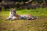 20120903-_MG_9585-1438