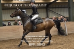 BPP_5543