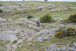 Hutton Roof-584