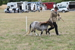 WJ6_5415