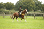 SBM_75434