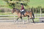 BPP_8942