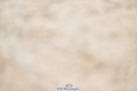260411A-131904-02060