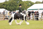 SBM_06172