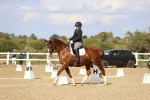 SBM_016035