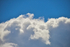 ACP_4614-1