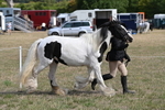 WJ6_6466