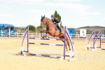 SBM_007468