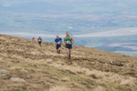 Black Combe-912