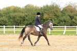 SBM_001489