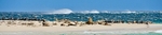 Sea Lions & Pied Cormorants I - W. Australia