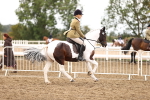 SBM_01420