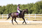 SBM_006608