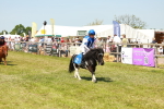 SBM_17288