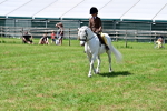 SBM_06054