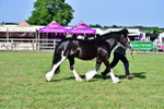 SBM_10117