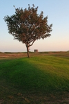 <center>Lonely</center>
