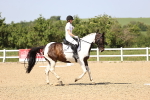 SBM_010142