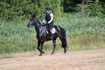 WJ7_6921