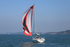 190825 PELOGISA - OCEANIS 361 1Y3A2456