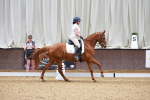 Class 6-7-8- - CT N3-80cm - CT E1-80cm - CT PYO E2 portfolio