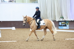 SBM_000741