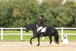 SBM_000259