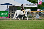 SBM_19872