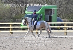BPP_9464