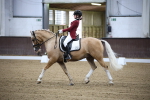 SBM_005336