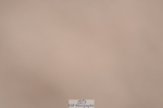240622A-110640-08469