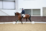 SBM_003863