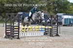 BPP_0395