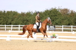 SBM_014973