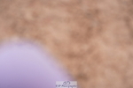 240505A-104734-04701