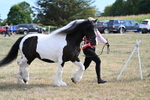 WJ7_8120