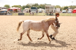 SBM_04650